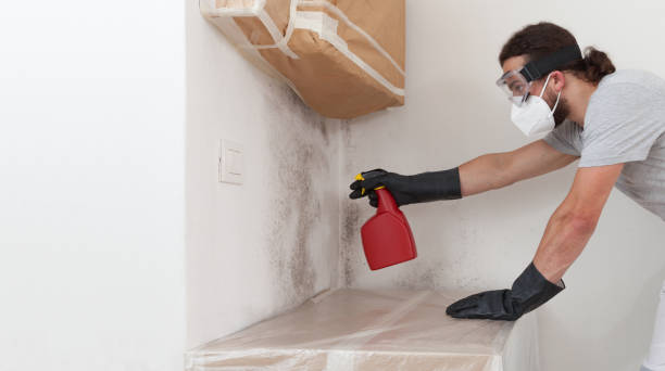 Professional Basement Mold Remediation technician working in Centre Hall, PA